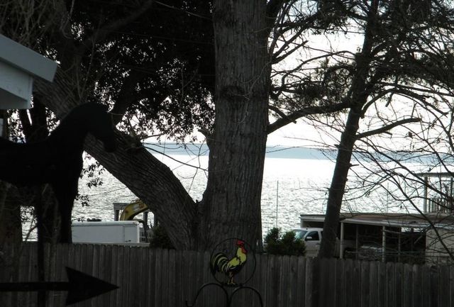 297 Vicki Drive, Livingston, TX 77351