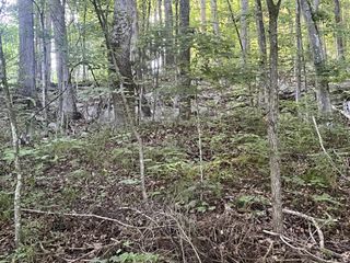 3507 Shadowbend Ln, Clarksville, TN 37043