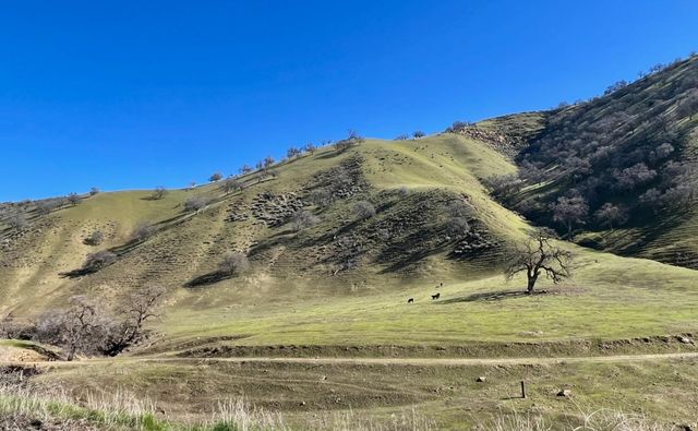 20625 Sarazen Pl, Patterson, CA 95363