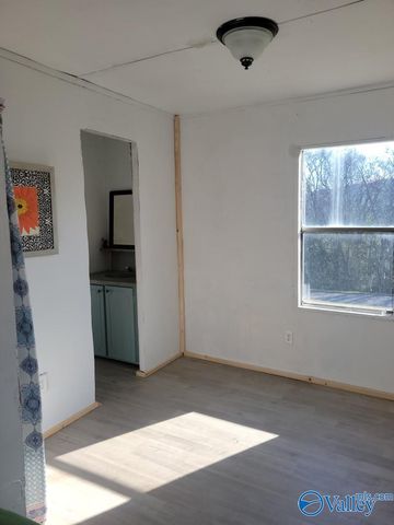 1904 Williamson Street, Guntersville, AL 35976