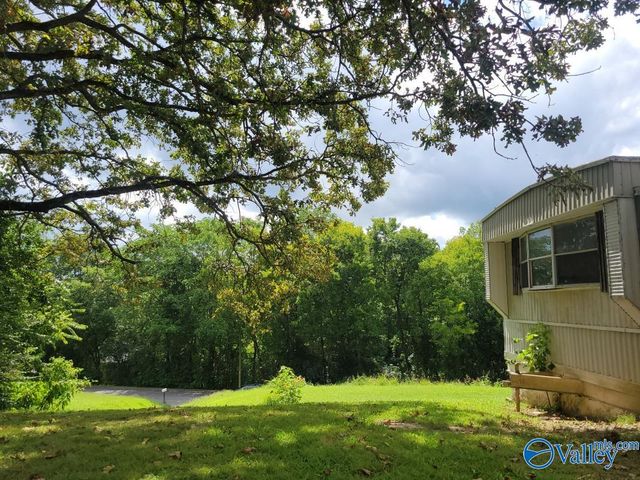 1904 Williamson Street, Guntersville, AL 35976