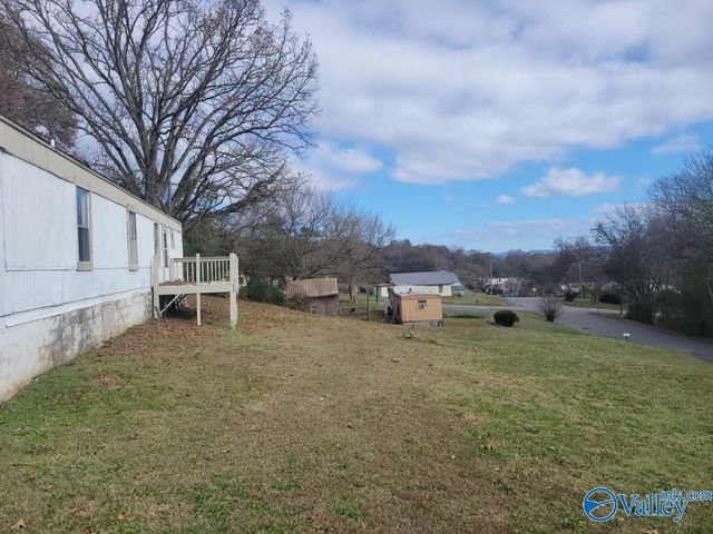 1904 Williamson Street, Guntersville, AL 35976