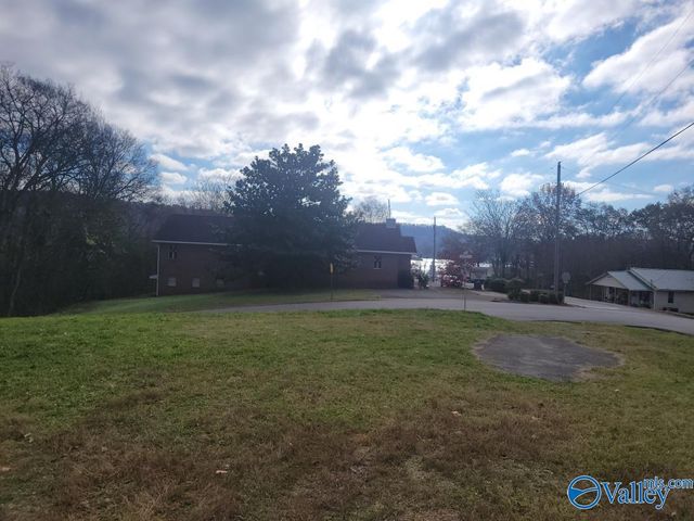 1904 Williamson Street, Guntersville, AL 35976