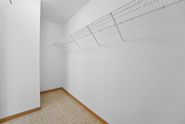 1217 Walker Springs Drive, Blacklick, OH 43004