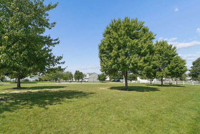 1217 Walker Springs Drive, Blacklick, OH 43004