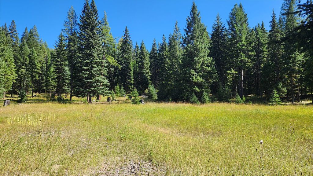 1720 Coon Hollow Road, Kila, MT 59920 photo 10
