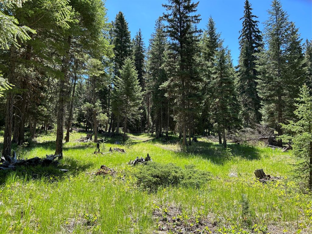 1720 Coon Hollow Road, Kila, MT 59920 photo 18