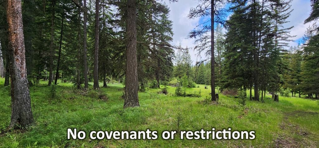 1720 Coon Hollow Road, Kila, MT 59920 photo 2