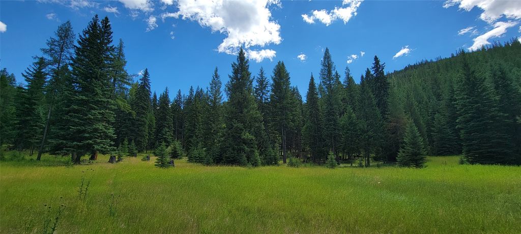 1720 Coon Hollow Road, Kila, MT 59920 photo 4