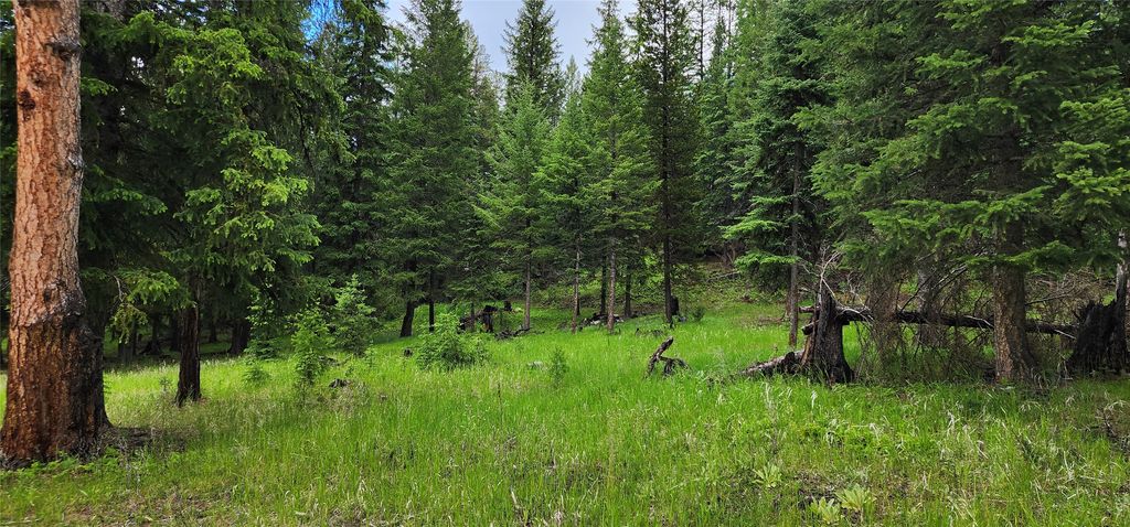 1720 Coon Hollow Road, Kila, MT 59920 photo 5