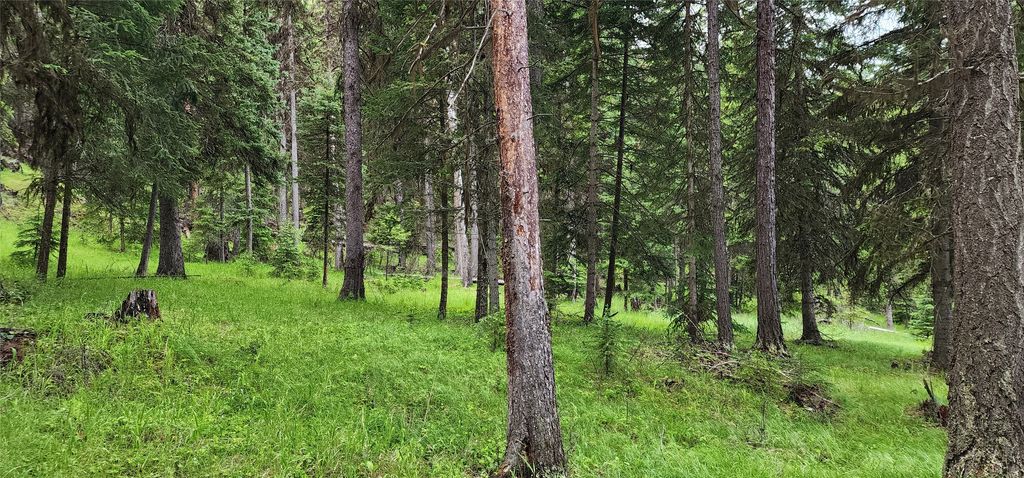 1720 Coon Hollow Road, Kila, MT 59920 photo 6