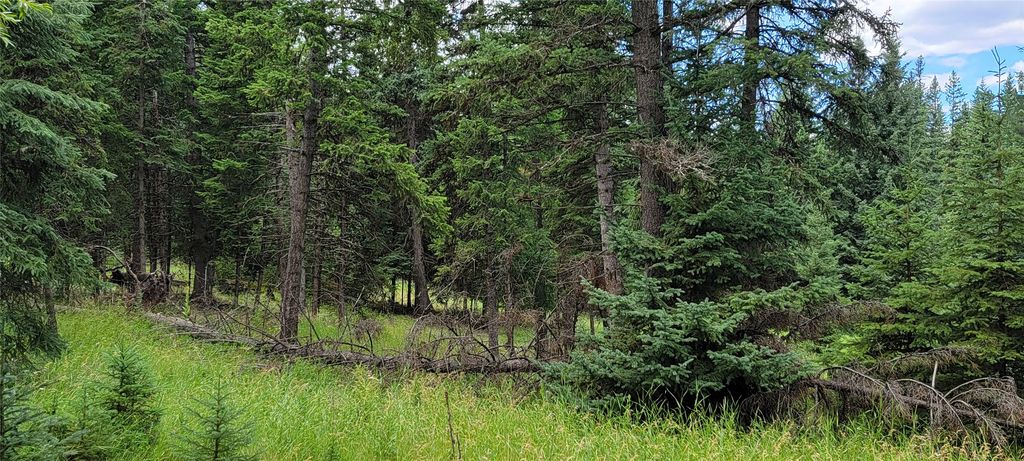 1720 Coon Hollow Road, Kila, MT 59920 photo 7