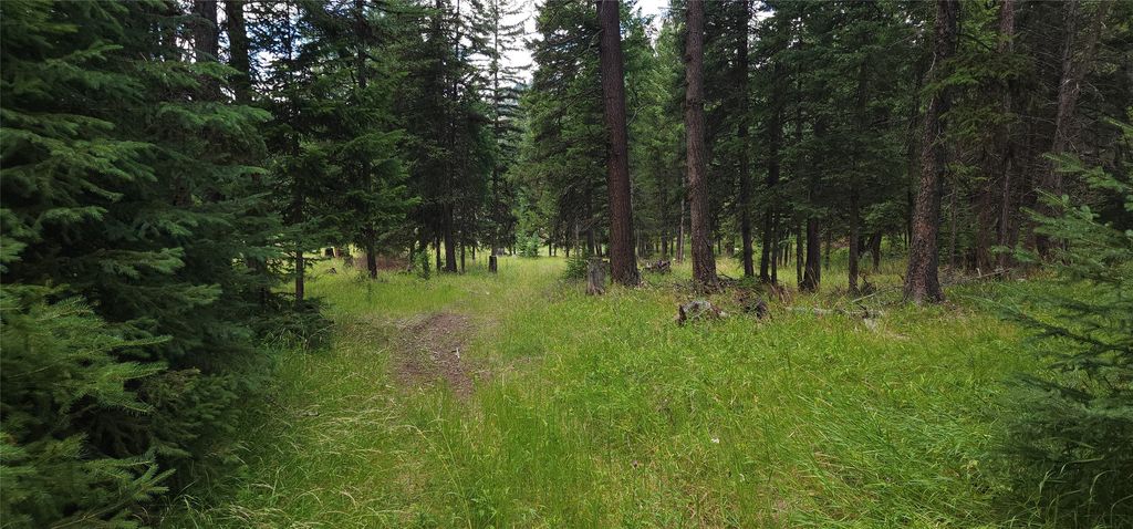 1720 Coon Hollow Road, Kila, MT 59920 photo 8