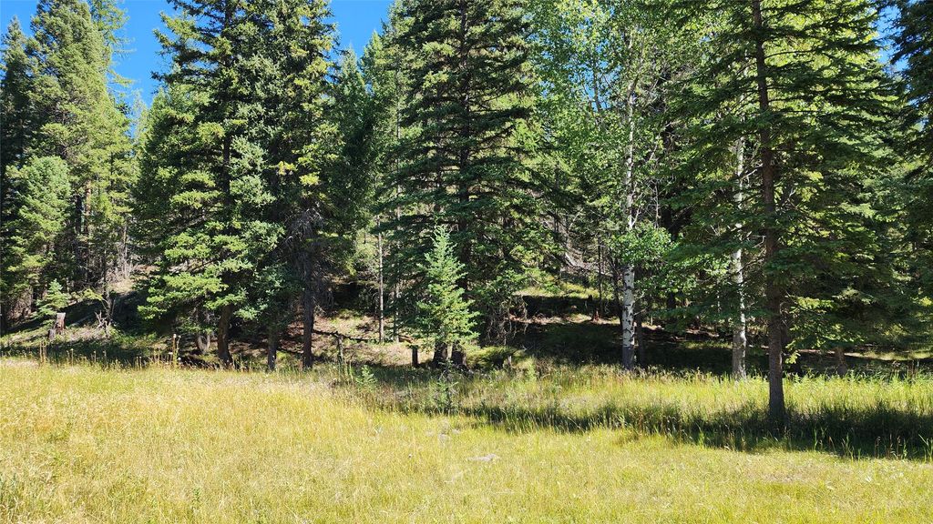 1720 Coon Hollow Road, Kila, MT 59920 photo 9