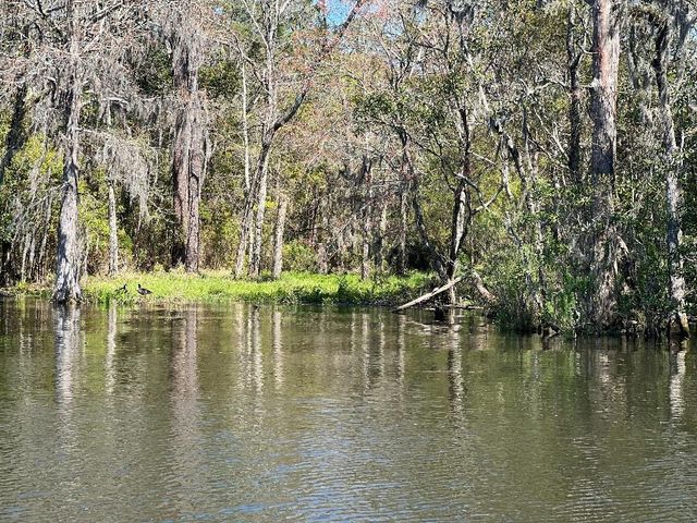 2066 Forest Lane, Mobile, AL 36605