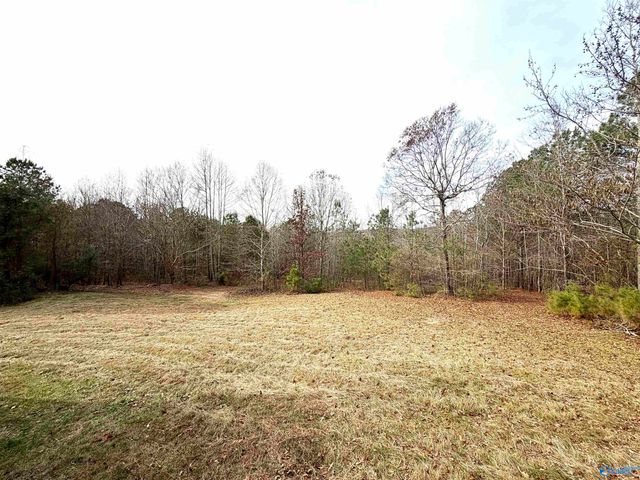 1315 Old Sheffield Gap Road, Attalla, AL 35954