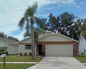 11204 ELMFIELD DRIVE, Tampa, FL 33625