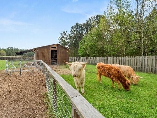 601 Vinson Rd, Leesville, LA 71446