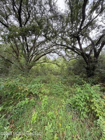 1465 Blue Meadow Road, Bay Saint Louis, MS 39520