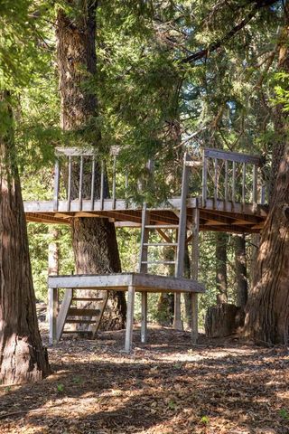 3413 Fern Meadow, Palomar Mountain, CA 92060