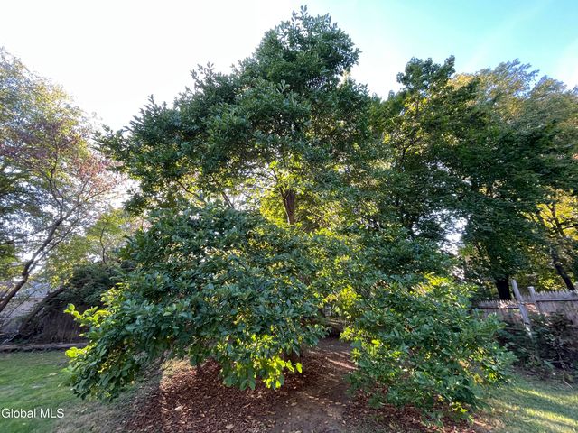 25 Corliss Avenue, Greenwich, NY 12834