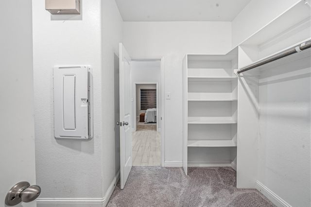 20323 Gray Yearling Trail, Tomball, TX 77377