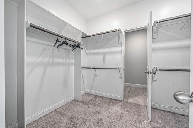 20323 Gray Yearling Trail, Tomball, TX 77377