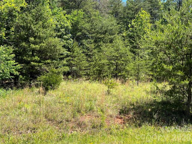 0 Luckadoo Mountain Road 177, Bostic, NC 28018