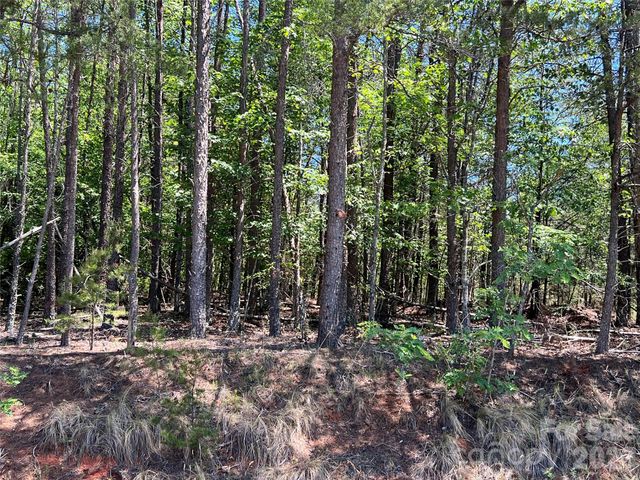 0 Luckadoo Mountain Road 177, Bostic, NC 28018