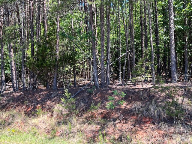 0 Luckadoo Mountain Road 177, Bostic, NC 28018
