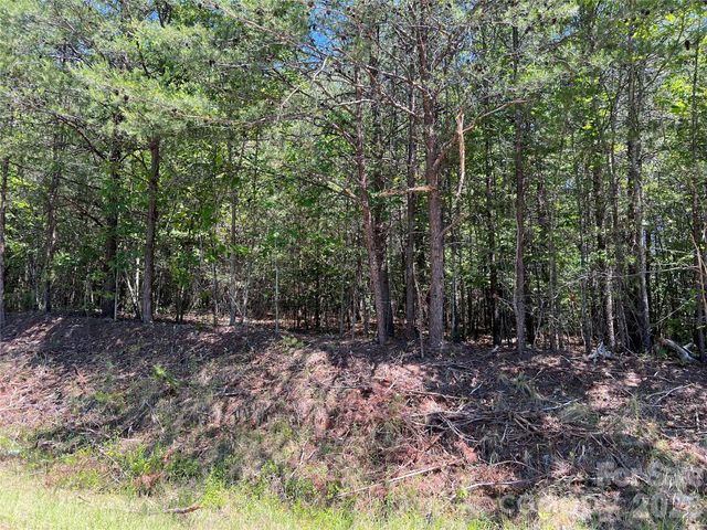 0 Luckadoo Mountain Road 177, Bostic, NC 28018