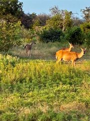 170 CR 505, Goldthwaite, TX 76844