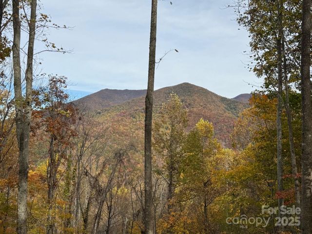 223 Flying Dutchman Road, Sylva, NC 28779