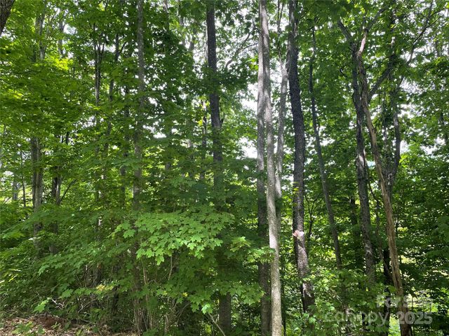 223 Flying Dutchman Road, Sylva, NC 28779