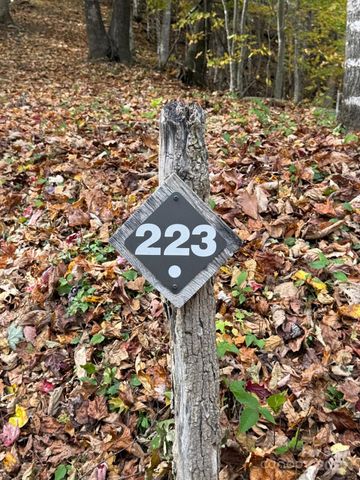 223 Flying Dutchman Road, Sylva, NC 28779