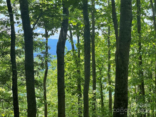 223 Flying Dutchman Road, Sylva, NC 28779