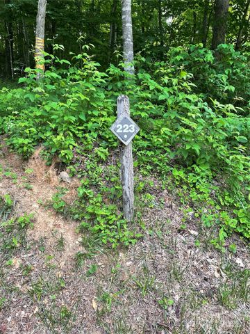 223 Flying Dutchman Road, Sylva, NC 28779