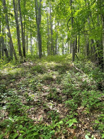 223 Flying Dutchman Road, Sylva, NC 28779