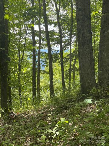 223 Flying Dutchman Road, Sylva, NC 28779