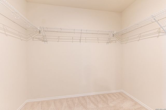 6222 Fieldrun, San Antonio, TX 78218