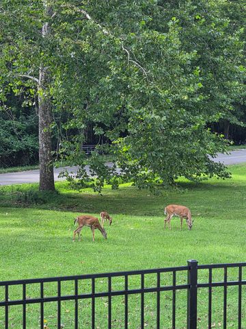 28 Noel Dr, Mount Juliet, TN 37122