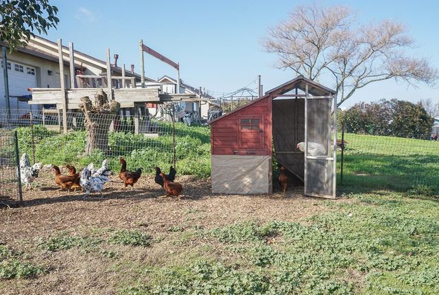 2755 Village Dr, Ione, CA 95640