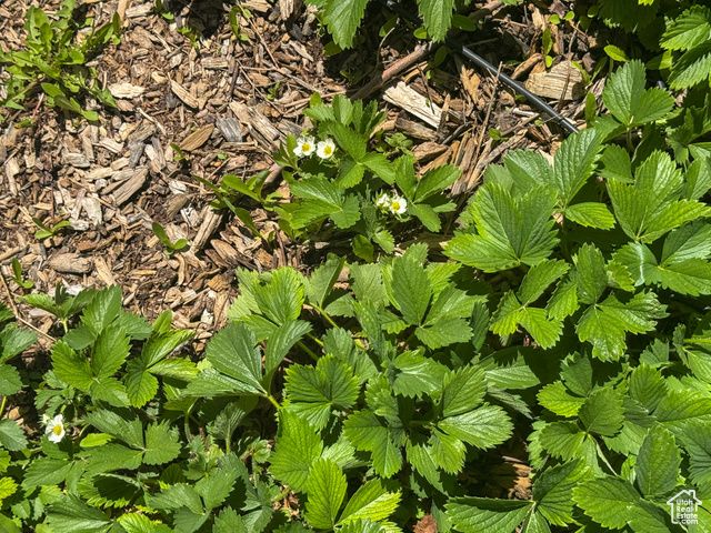 3261 S 1500 W, Nibley, UT 84321