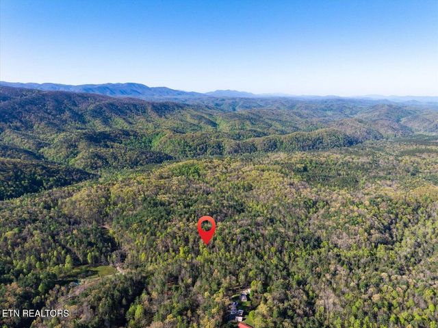 Pleasant Grove Rd, Vonore, TN 37885