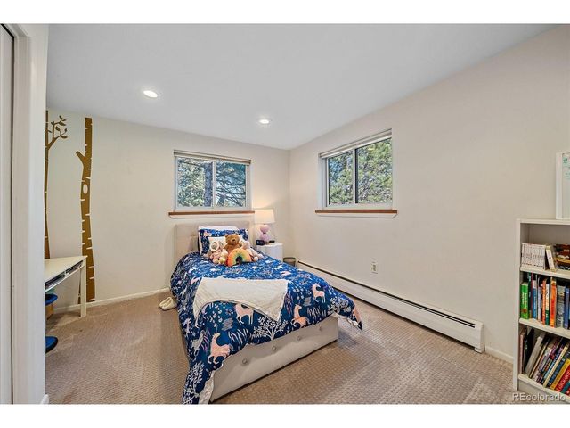 29793 Paint Brush Dr, Evergreen, CO 80439