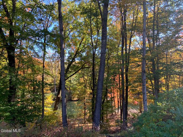 12 Pond Hollow Road, Sand Lake, NY 12018