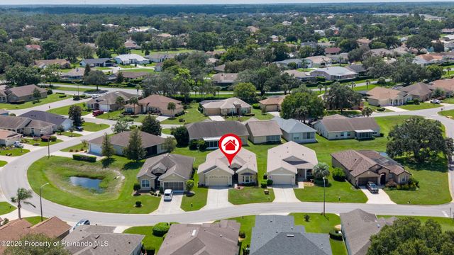 10143 Duffy Circle, Weeki Wachee, FL 34613