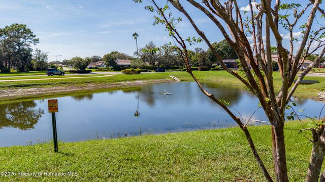 10143 Duffy Circle, Weeki Wachee, FL 34613