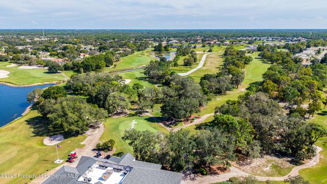 10143 Duffy Circle, Weeki Wachee, FL 34613