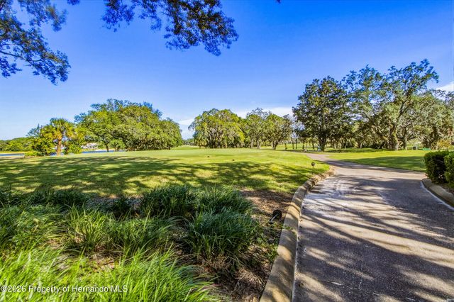 10143 Duffy Circle, Weeki Wachee, FL 34613